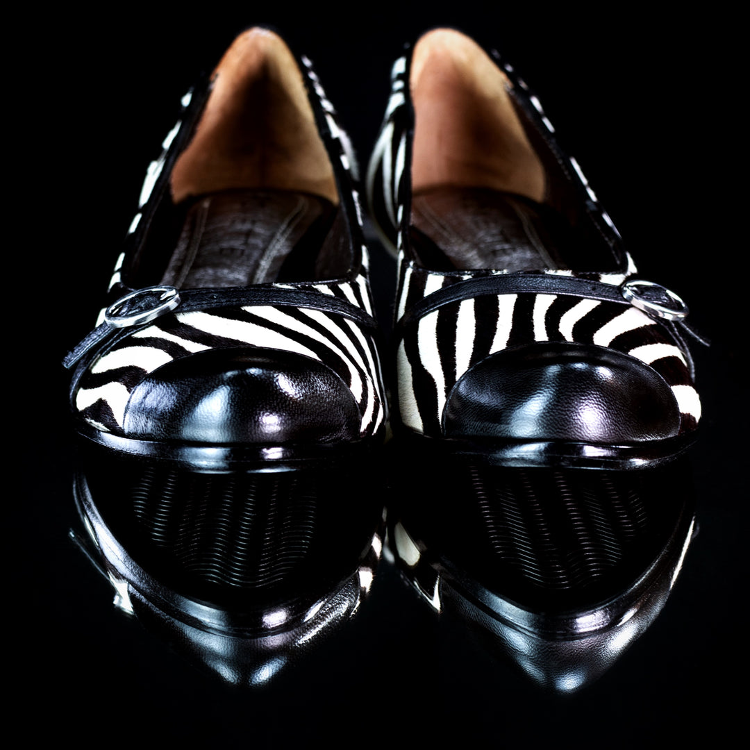 Dua Pony Zebra