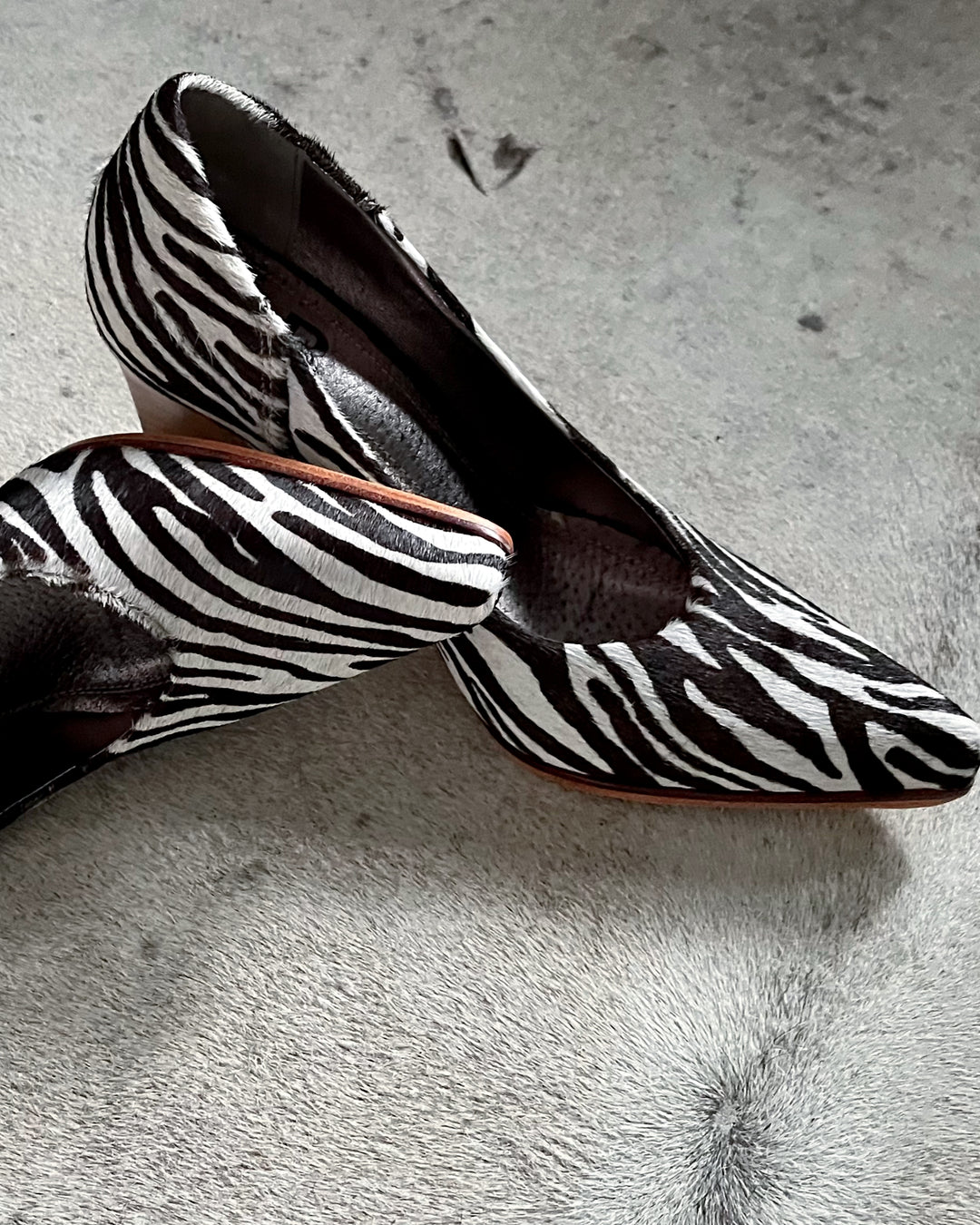 Zoe Zebra