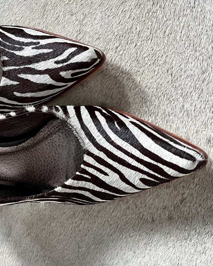 Zoe Zebra